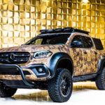 2019 Mercedes-Benz X350d Hunter