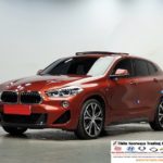 2019 BMW X2 xDrive20d M-Sport