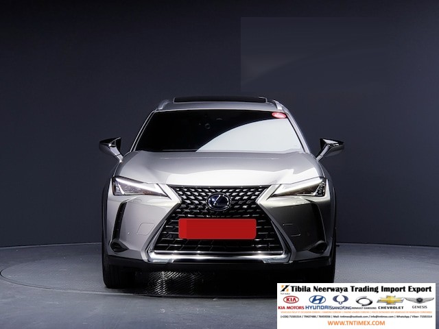 2019 Lexus UX250h 2.0L – Image 4