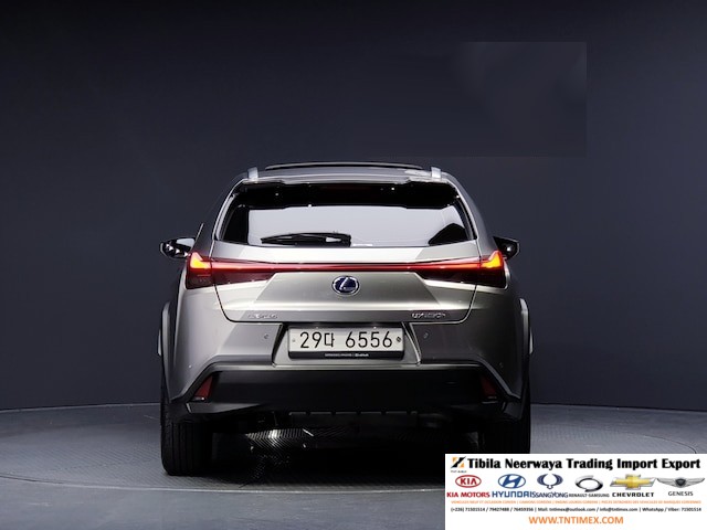 2019 Lexus UX250h 2.0L – Image 5