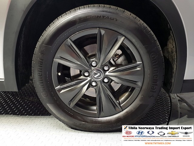 2019 Lexus UX250h 2.0L – Image 6