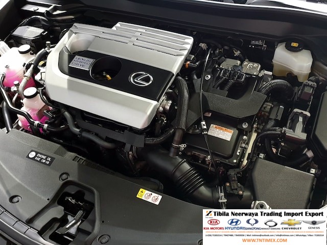 2019 Lexus UX250h 2.0L – Image 7