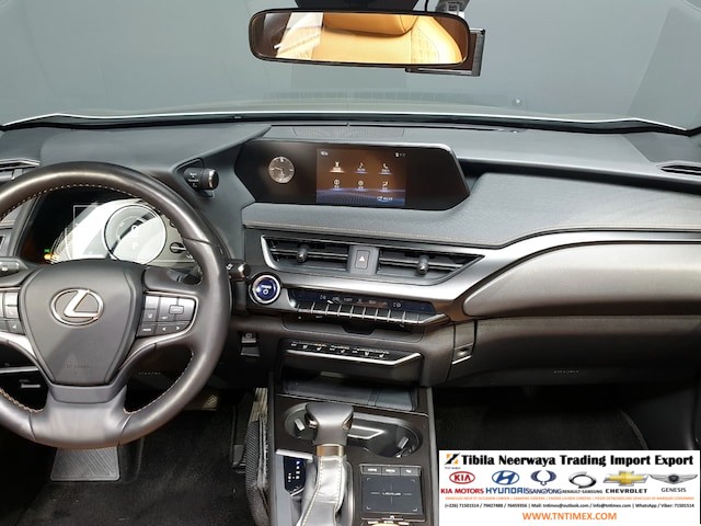 2019 Lexus UX250h 2.0L – Image 8