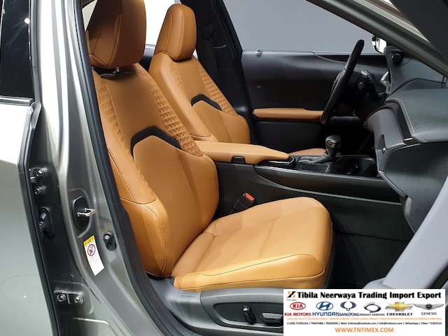 2019 Lexus UX250h 2.0L – Image 10