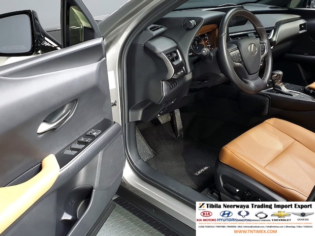 2019 Lexus UX250h 2.0L – Image 11