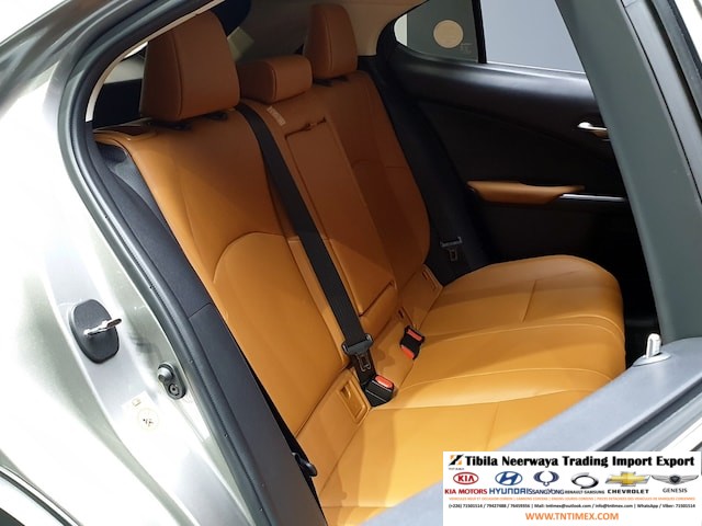 2019 Lexus UX250h 2.0L – Image 12