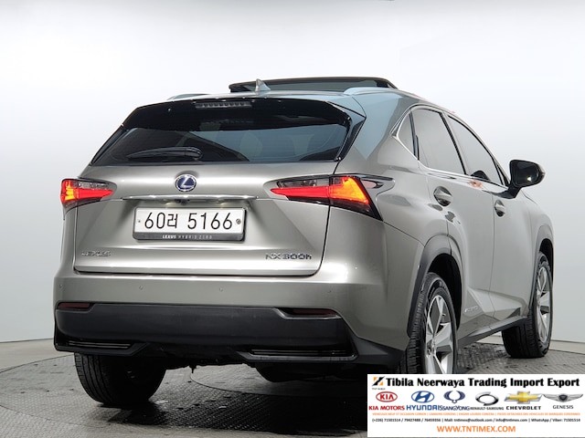 2015 Lexus NX300h Executive – Image 3