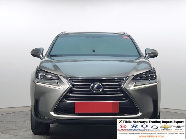 2015 Lexus NX300h Executive – Image 4