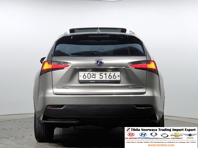 2015 Lexus NX300h Executive – Image 5