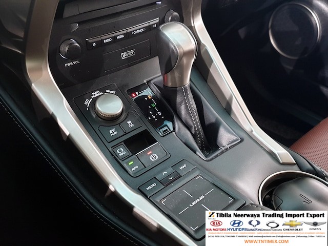 2015 Lexus NX300h Executive – Image 9