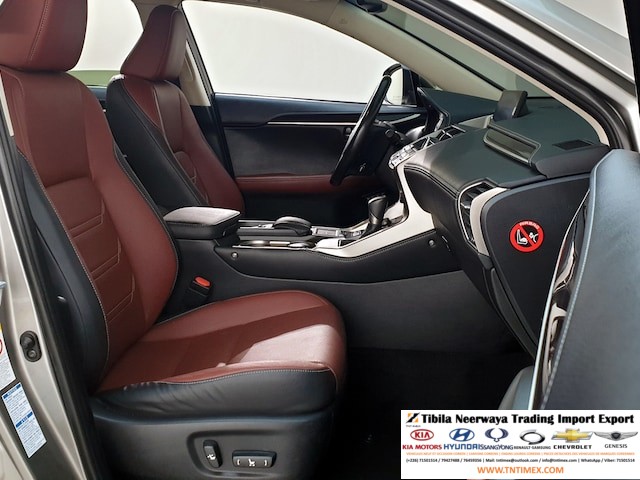 2015 Lexus NX300h Executive – Image 10