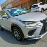 2016 Lexus NX200t 2.0L